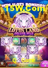 Casino VIP Q5 Game