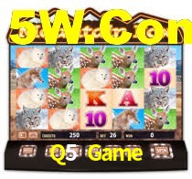 Q5 Game
