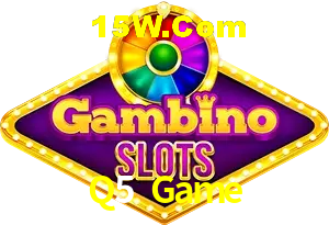 Secure Login Q5 Game